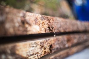 Wood Planks and Beams | 169 Lakes Wood Fuel