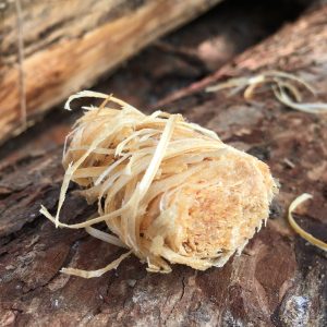Natural Firelighters